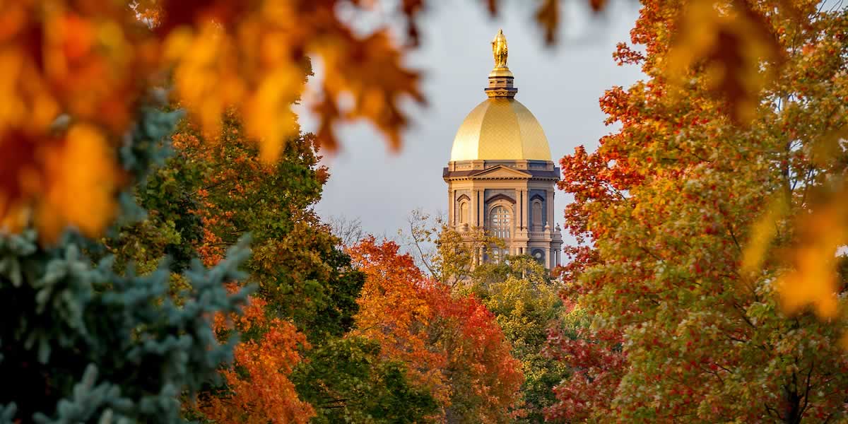 A view of the Main building through fall colored leaves
